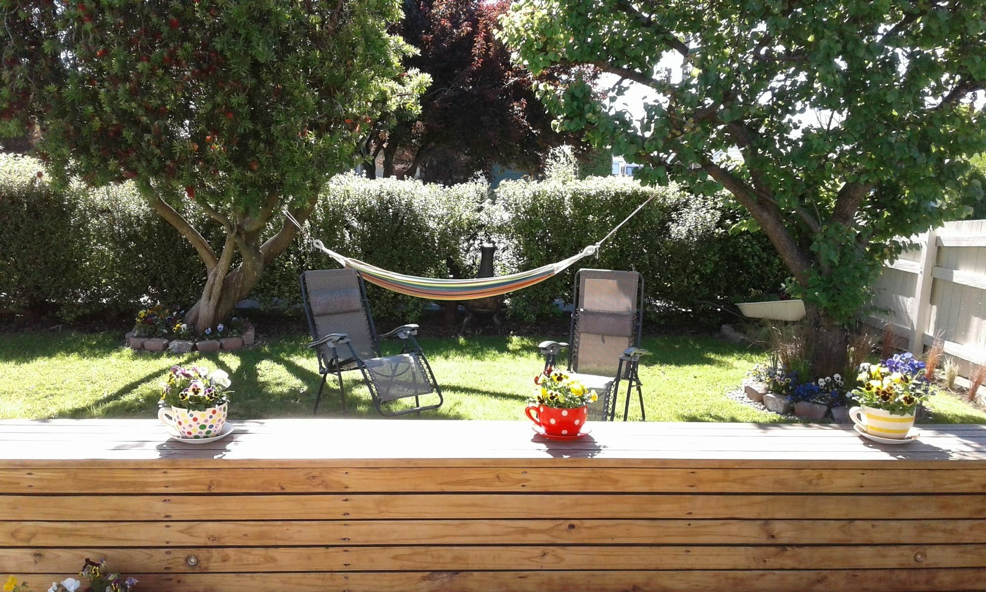 Coeden Cottage เบลนิม ภายนอก รูปภาพ